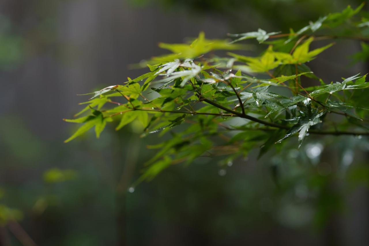滔々 御崎 町家の宿 Toutou Onzaki Machiya No Yado Kurašiki Exteriér fotografie